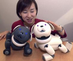 Sony to sell bear version of 'Aibo' robot pet